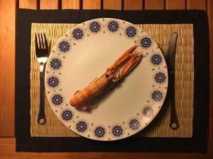 On Facing A Large Natural Area בית נופש Anholt